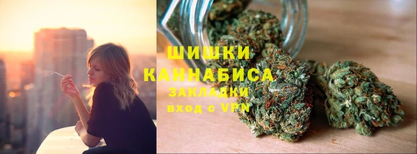 бошки Алексин