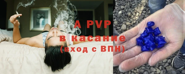хмурый Алзамай