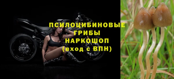 хмурый Алзамай