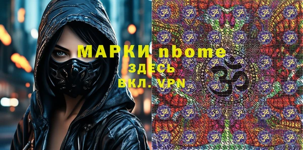 хмурый Алзамай