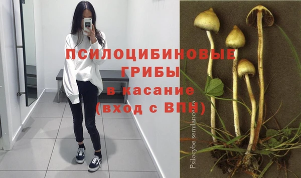бошки Алексин