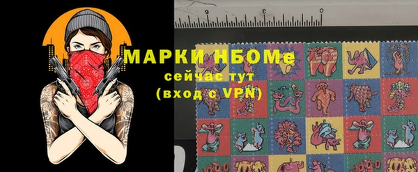 хмурый Алзамай